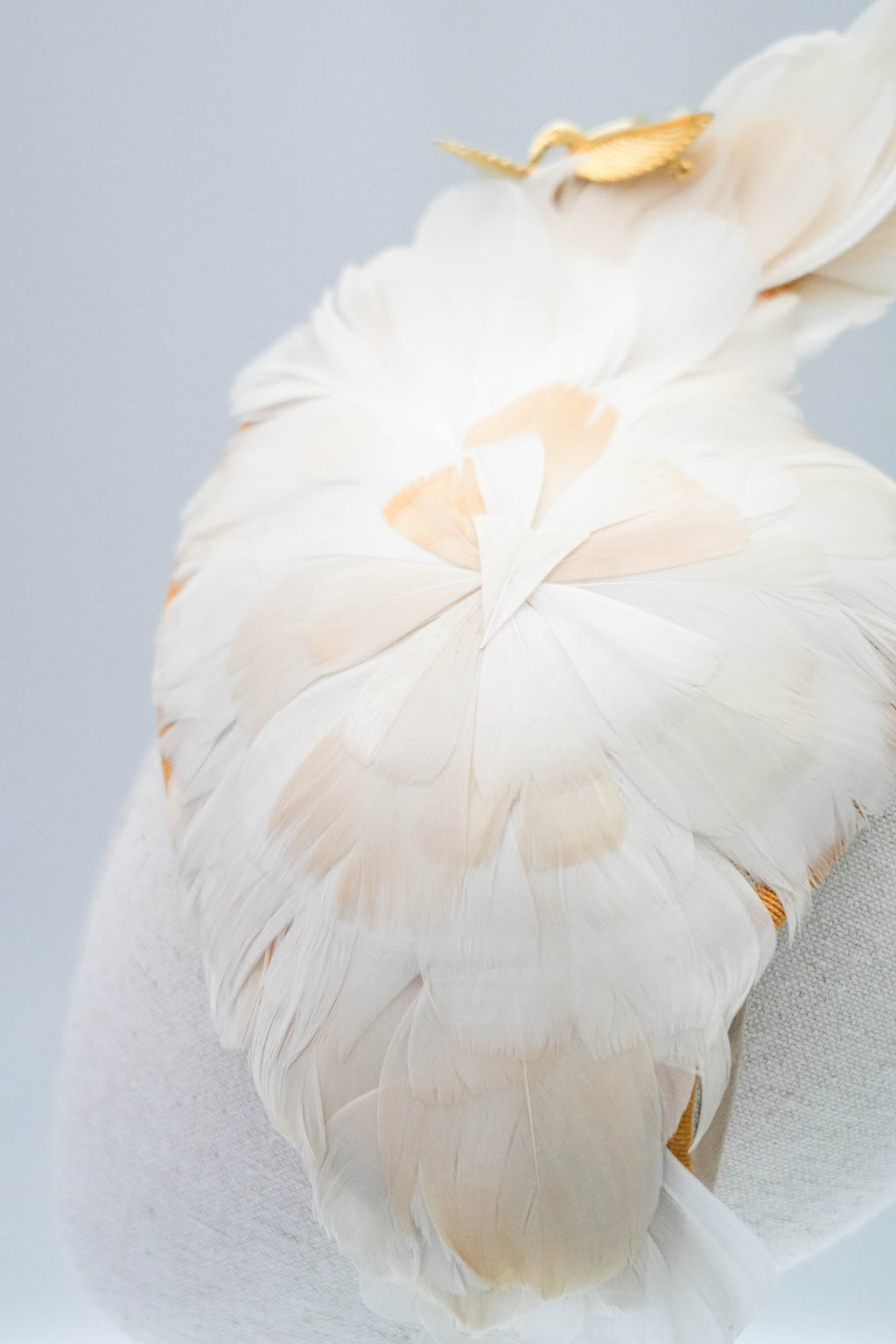 Phoenix- Part of the Champagne Collection, created at Morley College, Chelsea.